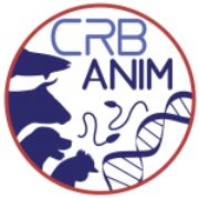 crb anim - Wimi