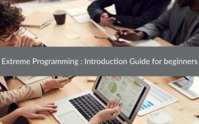 Extreme Programming : Introduction Guide for beginners