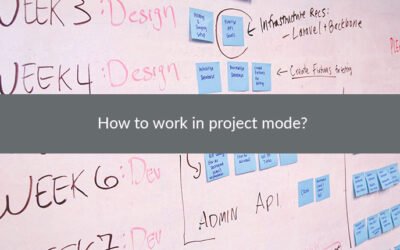 How to work in project mode?