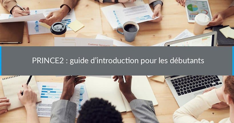 prince2 guide dintroduction debutants